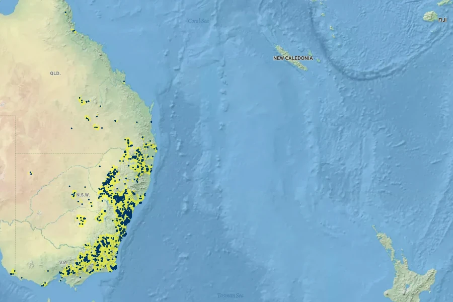 Phebalium squamulosum Native Range