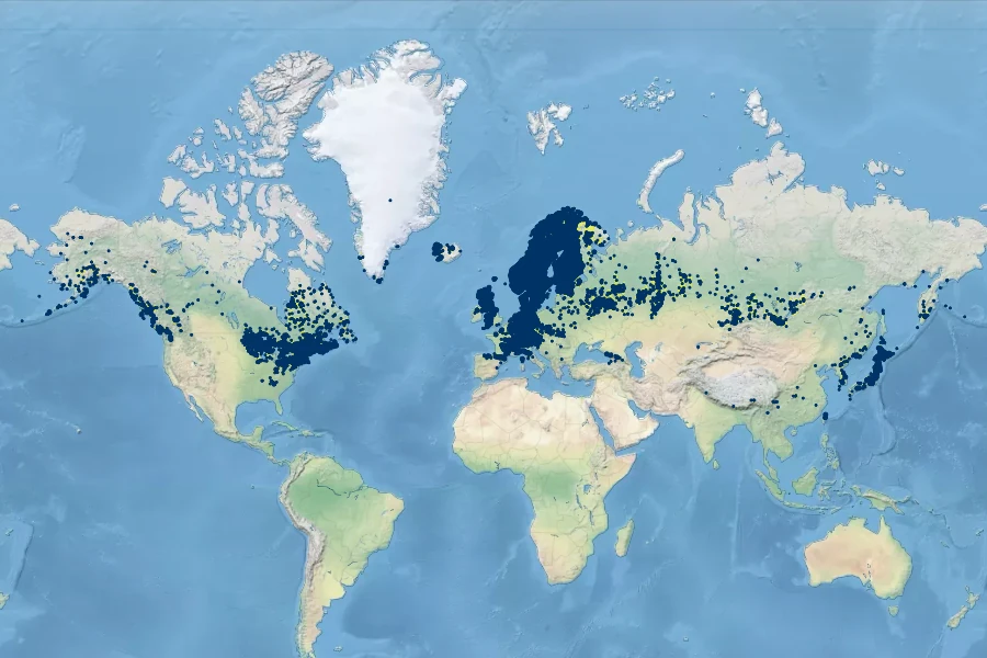 Phegopteris connectilis Native Range