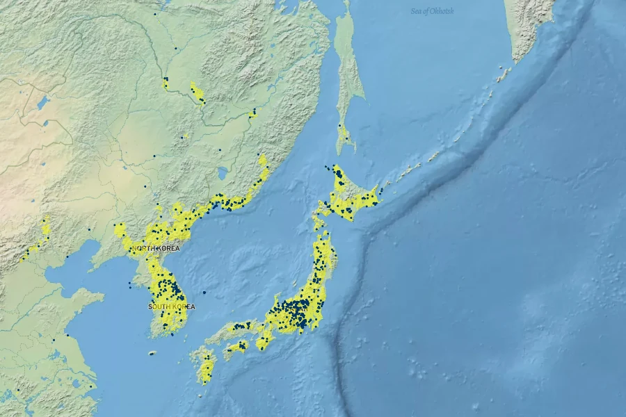 Phellodendron amurense Native Range