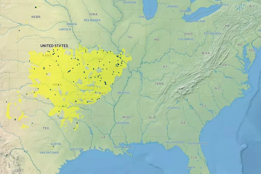 Phemeranthus calycinus Native Range