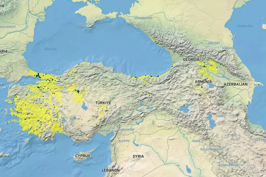Philadelphus coronarius Native Range