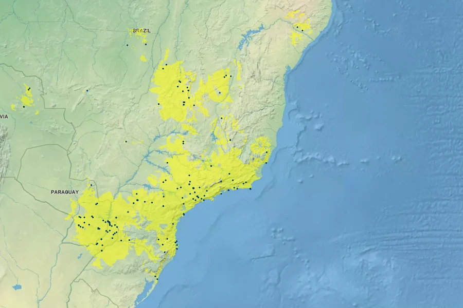 Philodendron bipinnatifidum Native Range