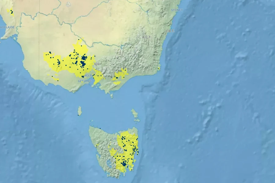 Philotheca verrucosa Native Range