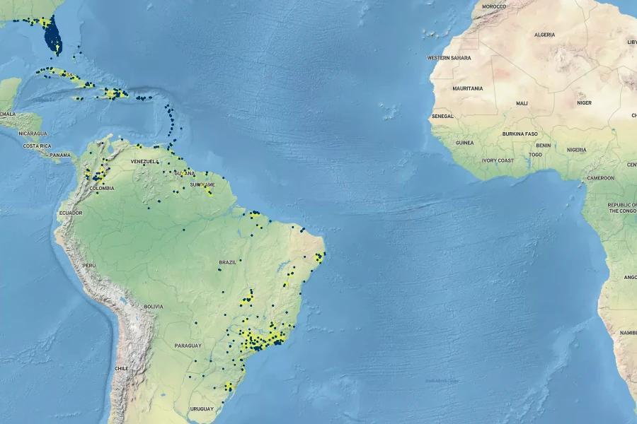 Phlebodium aureum Native Range