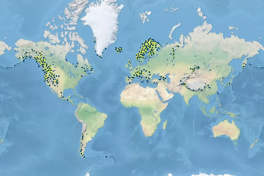 Phleum alpinum Native Range