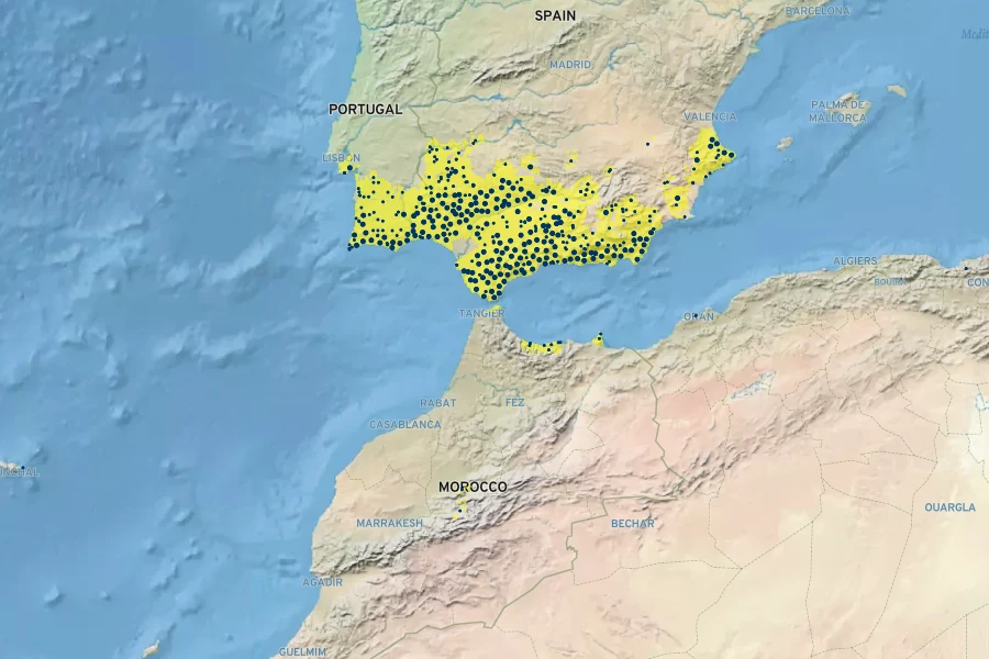 Phlomis purpurea Native Range
