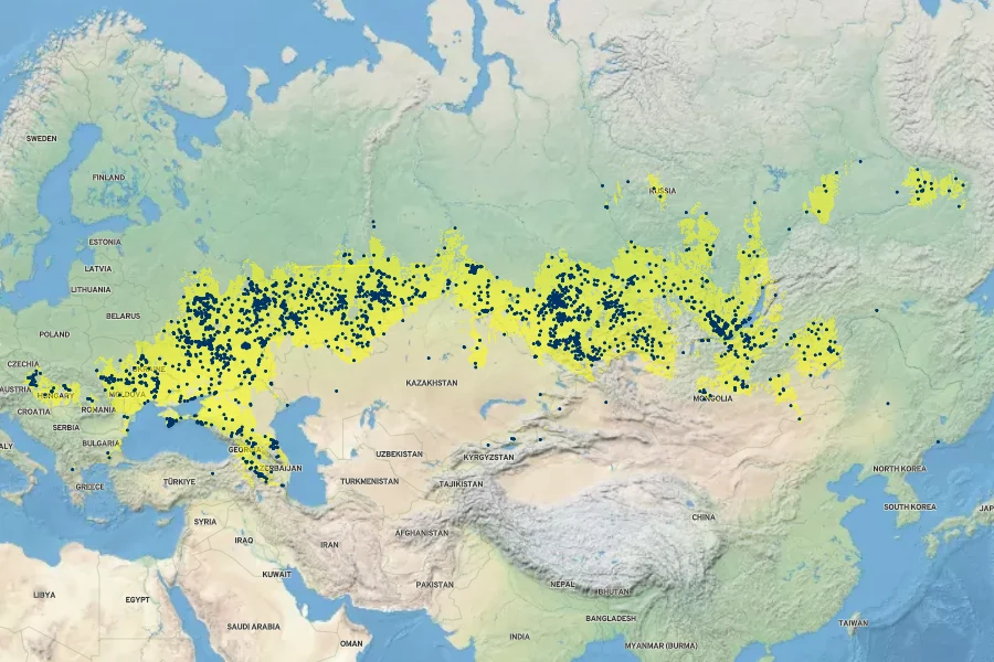 Phlomoides tuberosa Native Range