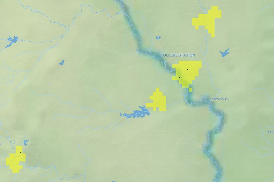 Phlox drummondii subsp. wilcoxiana Native Range