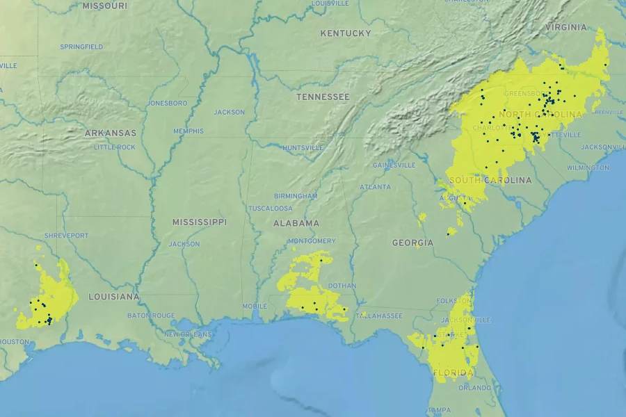 Phlox nivalis Native Range
