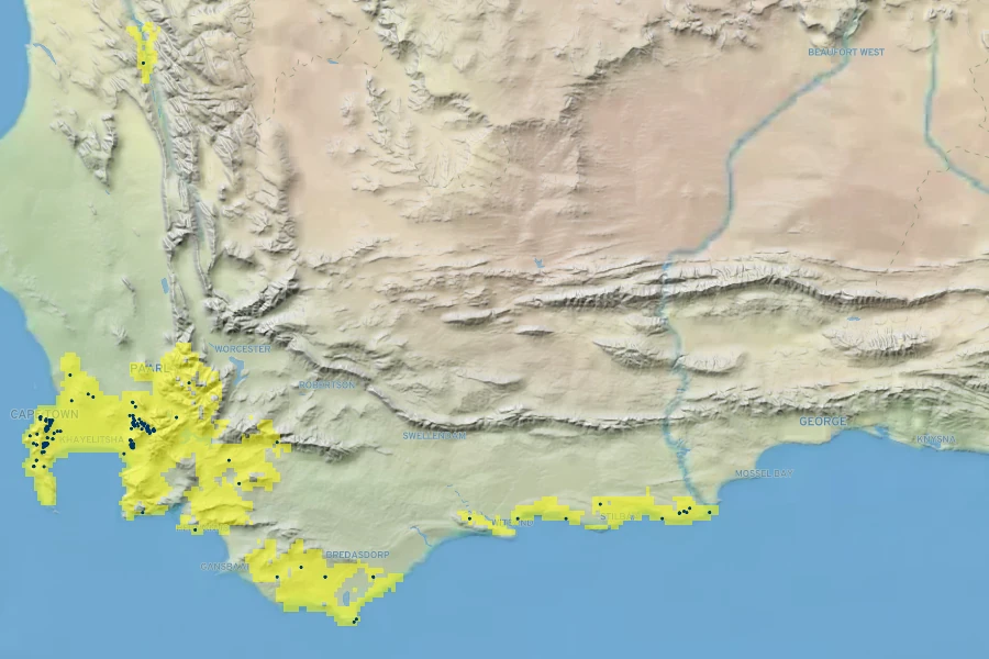 Phylica pubescens Native Range