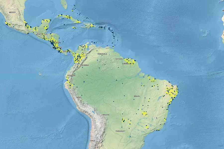 Phyllanthus amarus Native Range