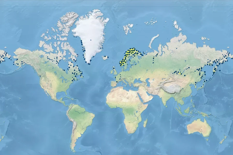 Phyllodoce caerulea Native Range