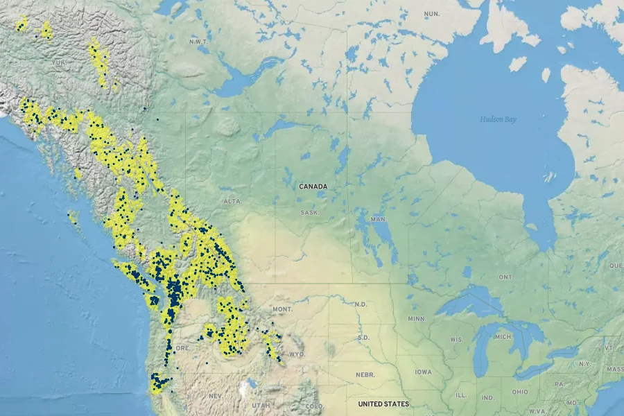 Phyllodoce empetriformis Native Range