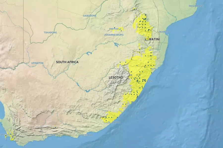 Phymaspermum acerosum Native Range