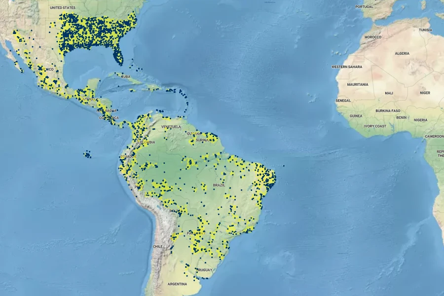 Physalis angulata Native Range