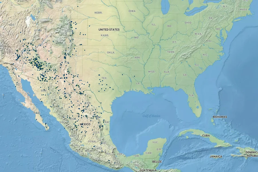 Physalis hederifolia Native Range