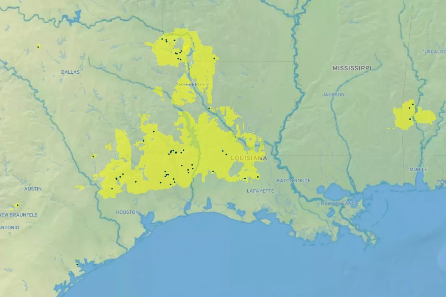 Physostegia digitalis Native Range