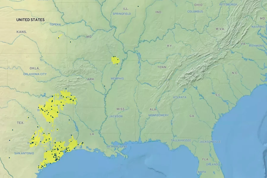 Physostegia intermedia Native Range
