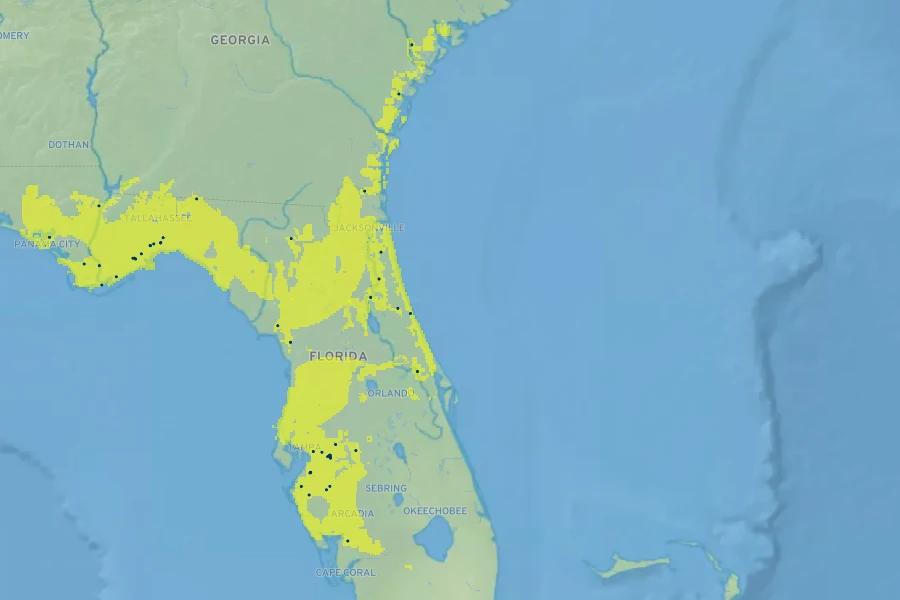 Physostegia leptophylla Native Range