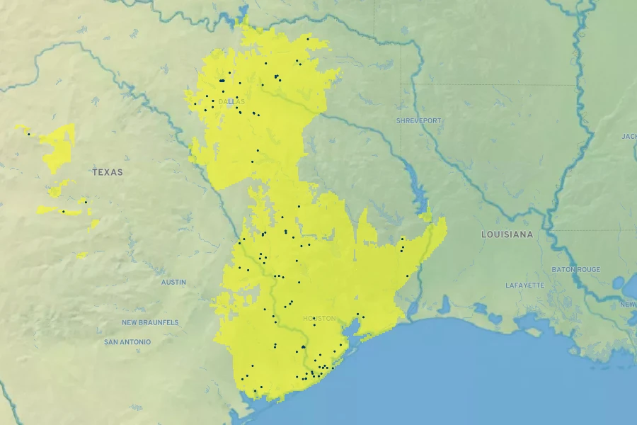 Physostegia pulchella Native Range