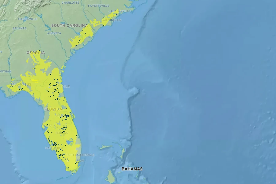 Physostegia purpurea Native Range
