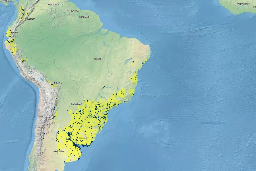 Phytolacca dioica Native Range