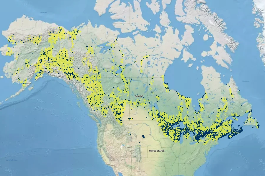 Picea glauca Native Range