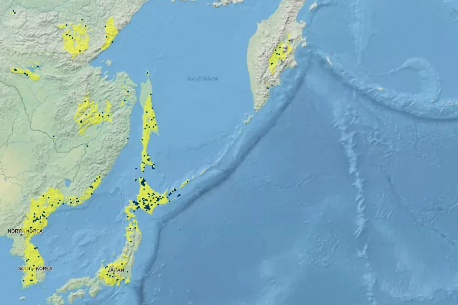 Picea jezoensis Native Range