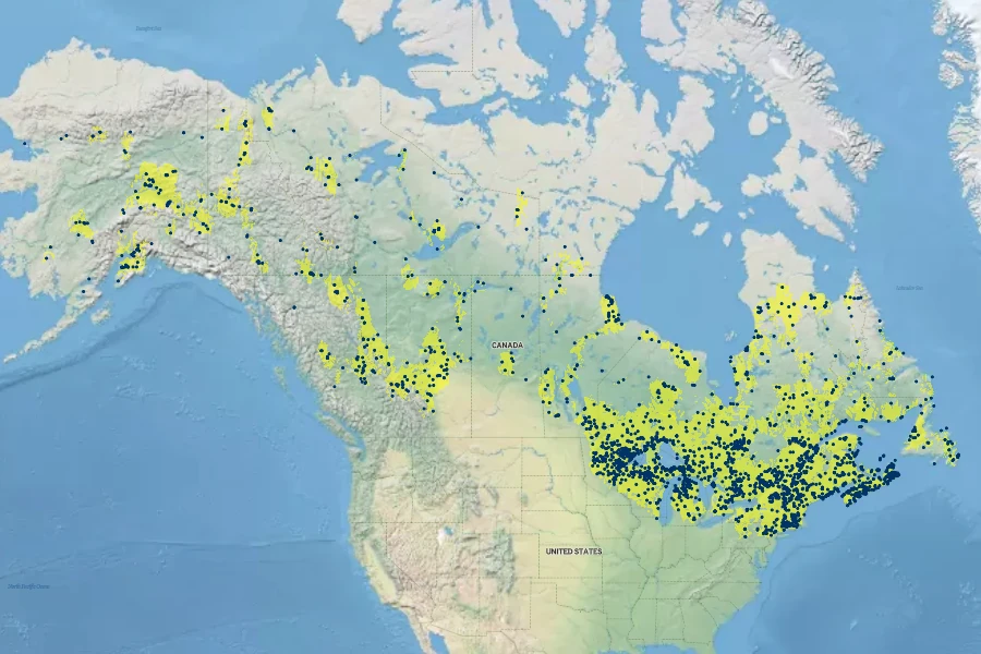 Picea mariana Native Range