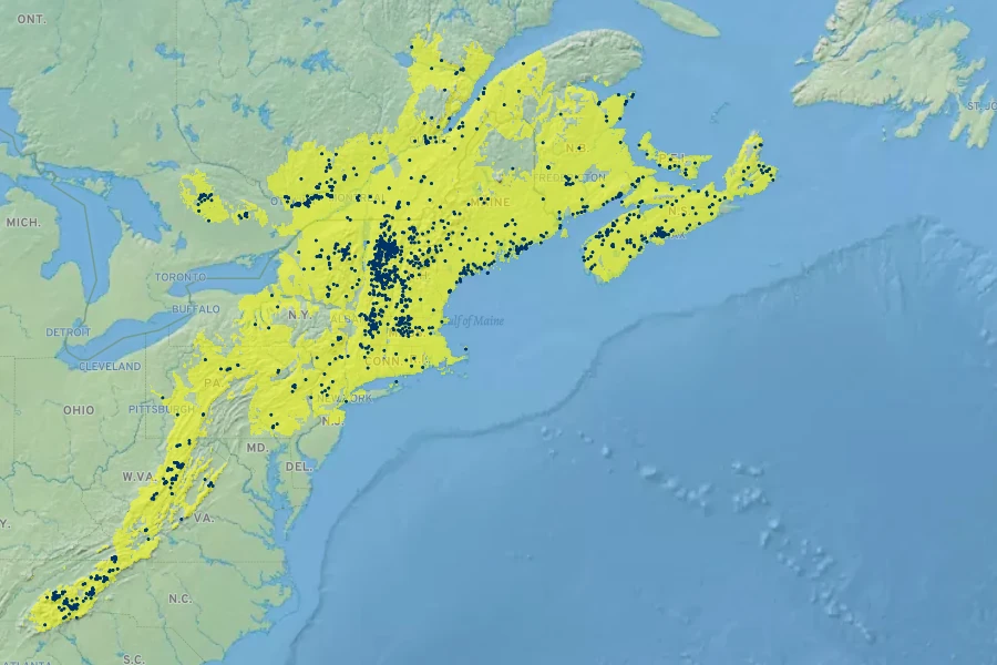 Picea rubens Native Range