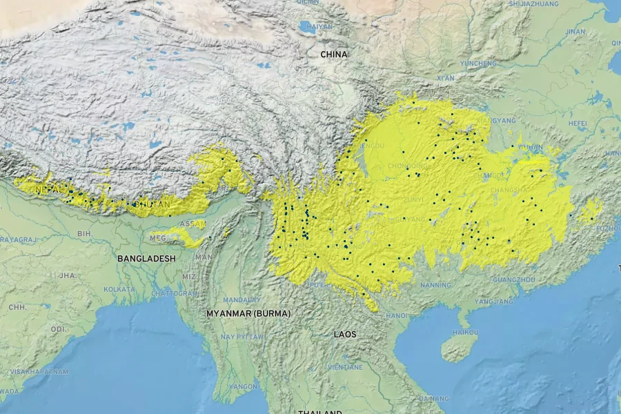 Pieris formosa Native Range