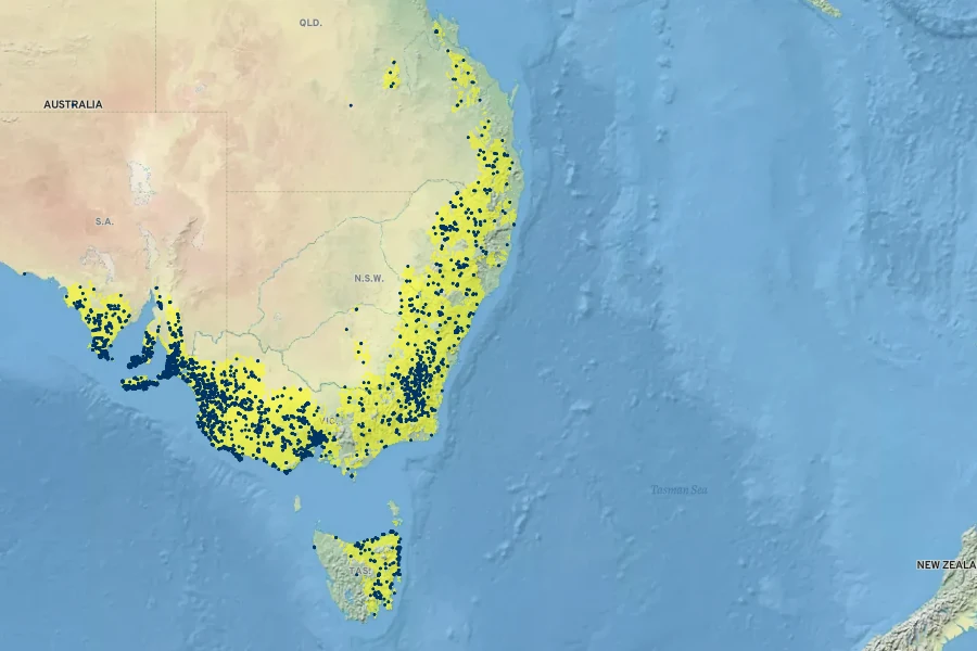 Pimelea glauca Native Range
