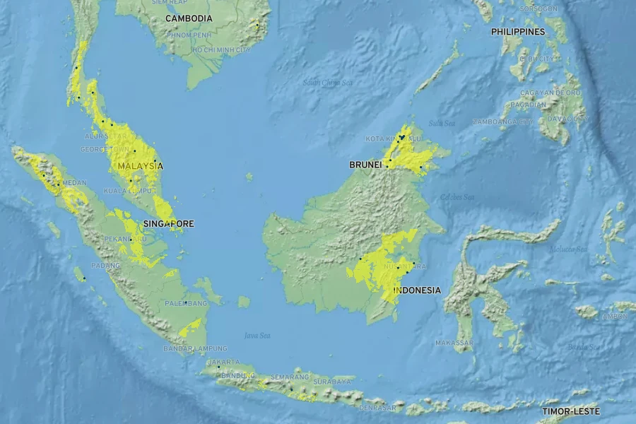 Pinalia floribunda Native Range