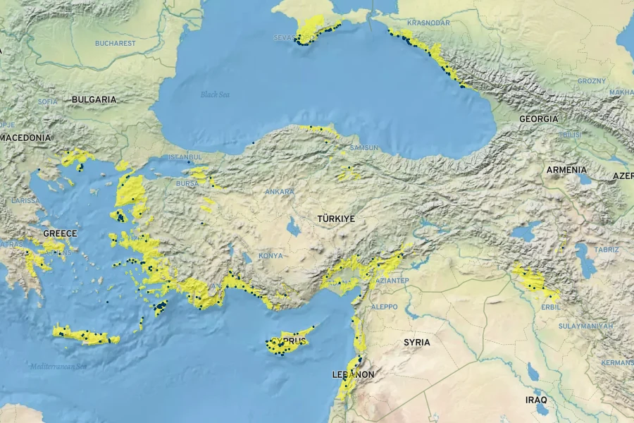 Pinus brutia Native Range