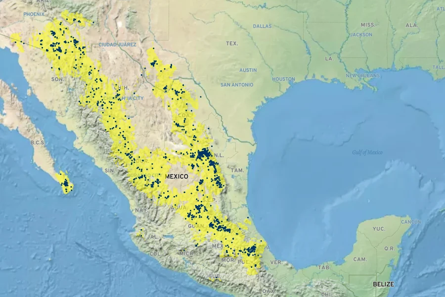 Pinus cembroides Native Range