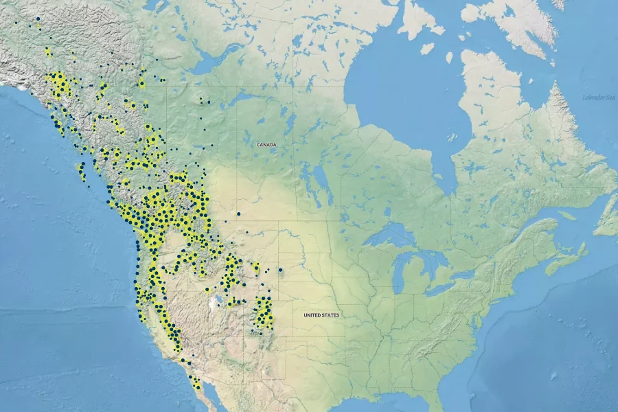 Pinus contorta Native Range