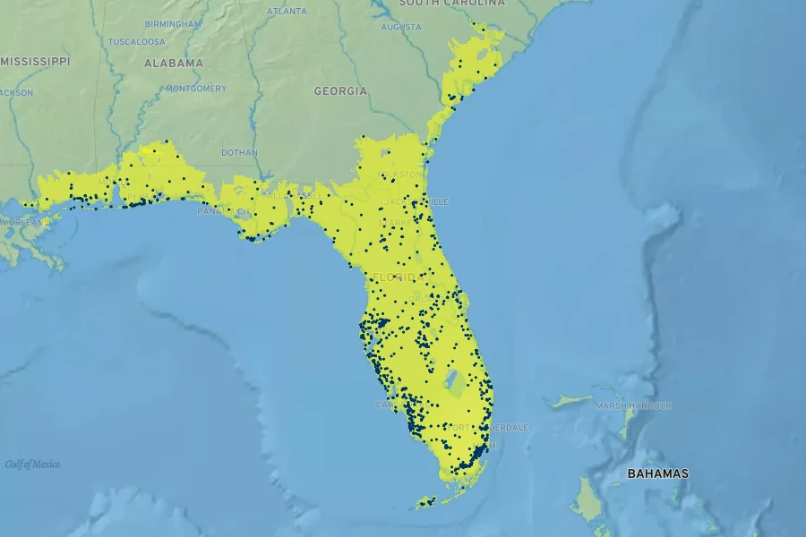 Pinus elliottii Native Range