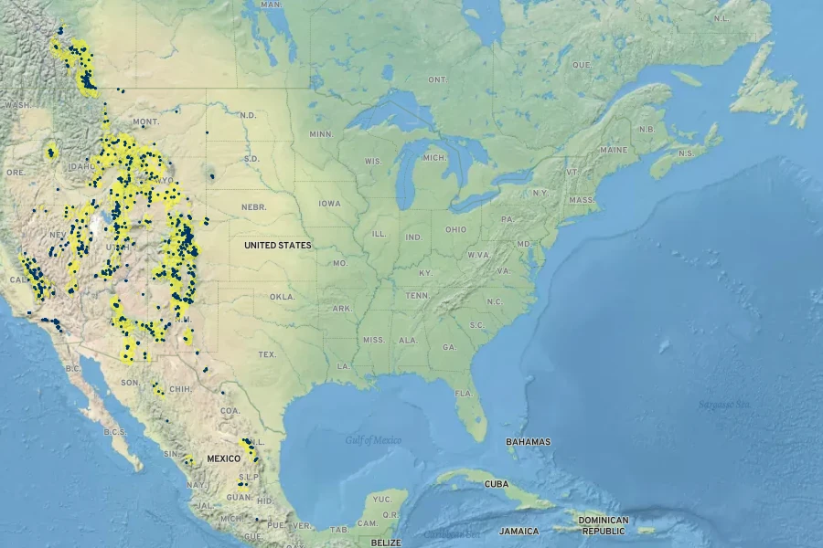 Pinus flexilis Native Range