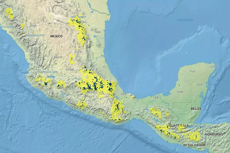 Pinus hartwegii Native Range