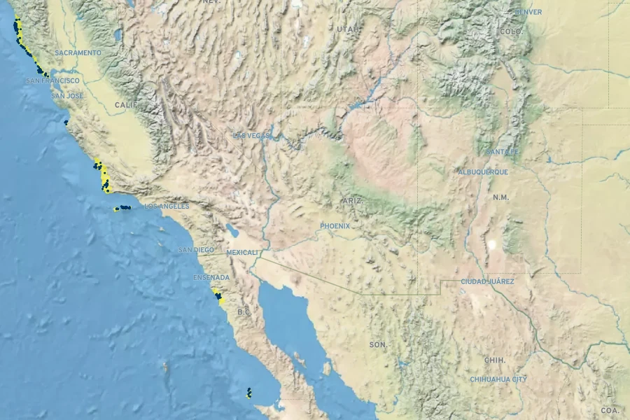 Pinus muricata Native Range