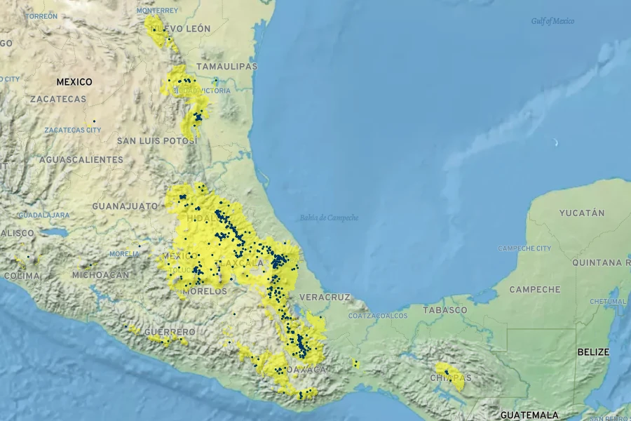 Pinus patula Native Range