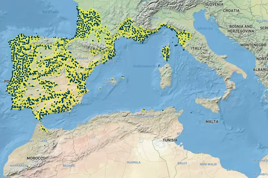 Pinus pinaster Native Range