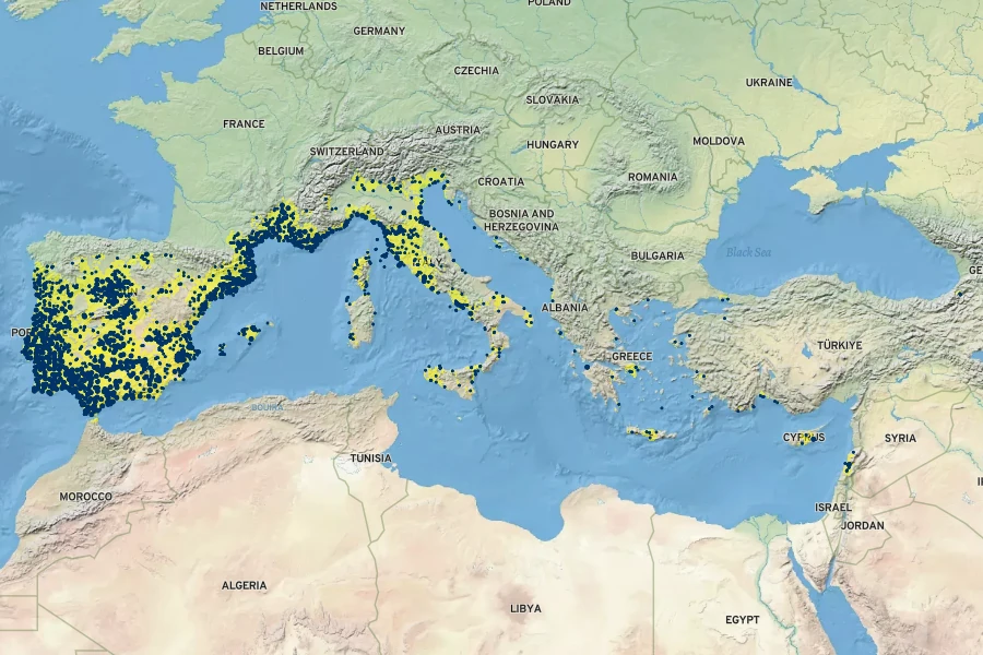 Pinus pinea Native Range