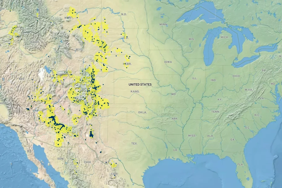 Pinus ponderosa var. scopulorum Native Range