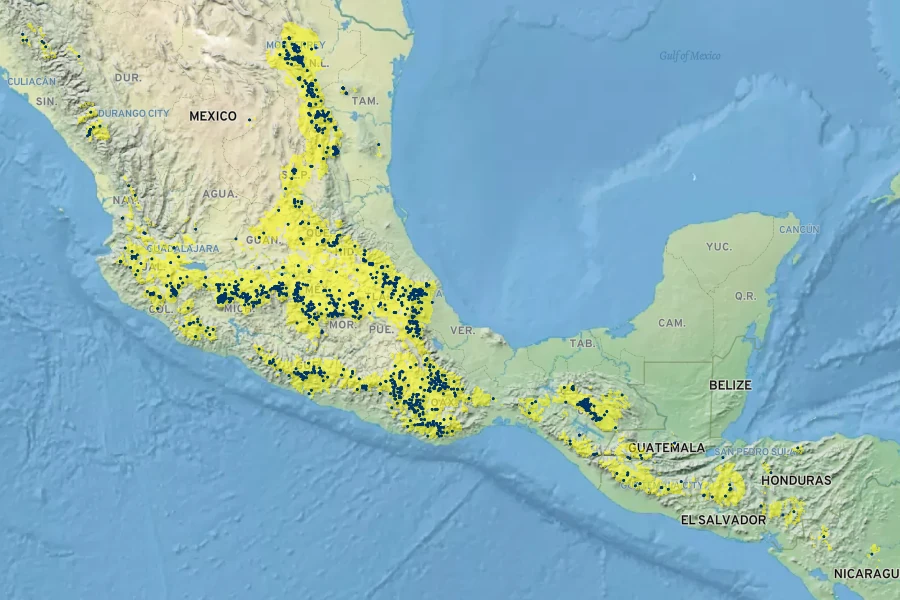 Pinus pseudostrobus Native Range