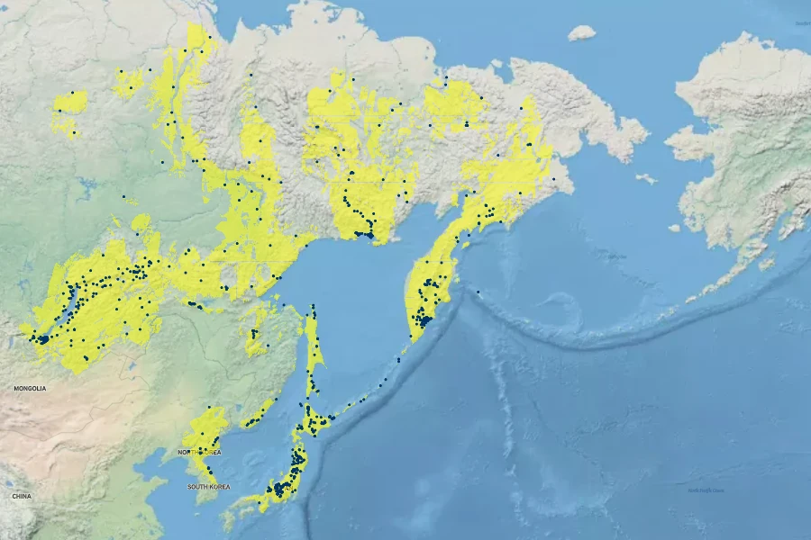 Pinus pumila Native Range