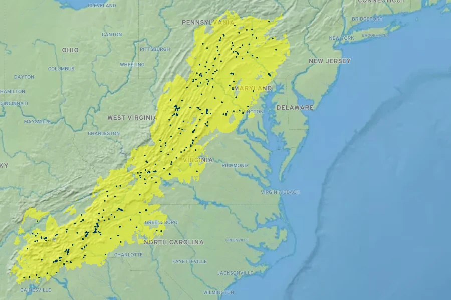 Pinus pungens Native Range