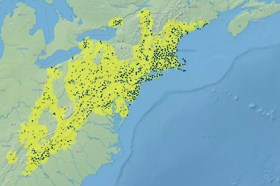 Pinus rigida Native Range