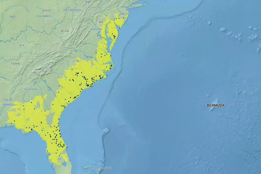 Pinus serotina Native Range