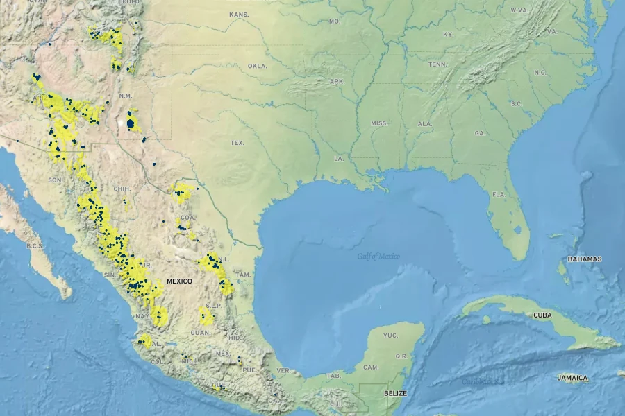 Pinus strobiformis Native Range
